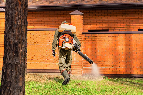 Trusted Rodent Control service in West Vero Corridor, FL - Nex Pest Control